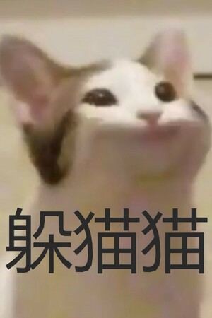 躲猫猫