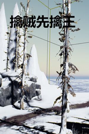 擒贼先擒王