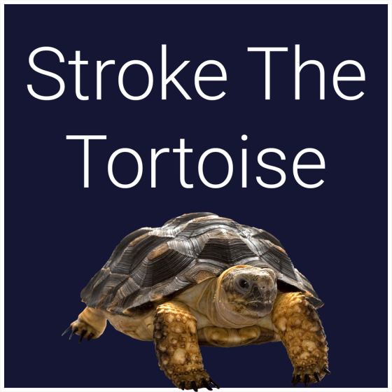 Accidente cerebrovascular la tortuga