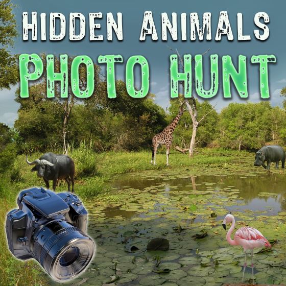 Animales Ocultos: Objetos Perdidos