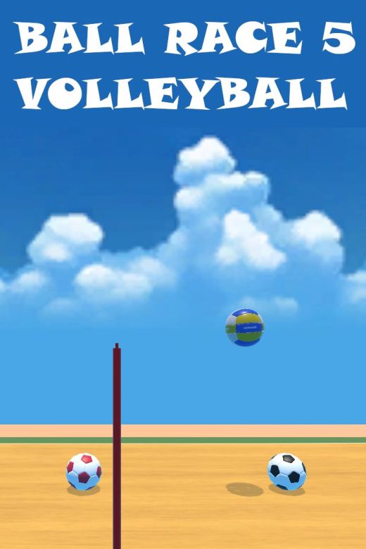 Ball Race 5: Volleyball DEMO