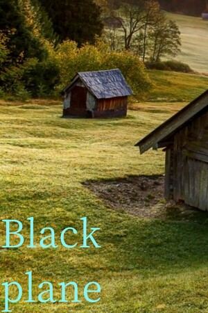 Black plane