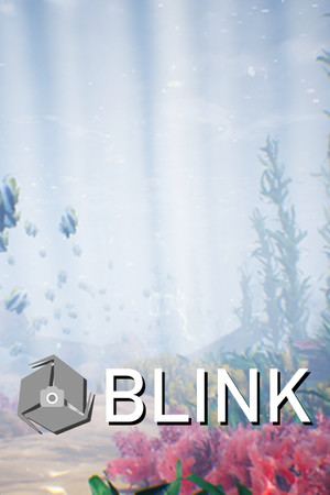 Blink Cam