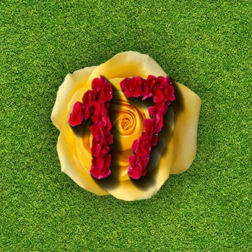Clutter 17 Flower Power Collector's Edition