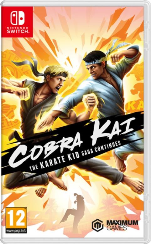 Cobra Kai: The Karate Kid Saga Continues