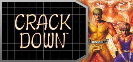 Crack Down™