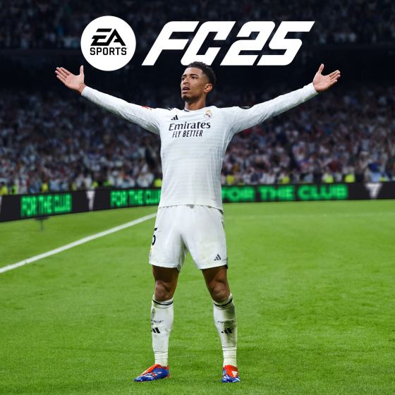 EA SPORTS FC™ 25 - PC