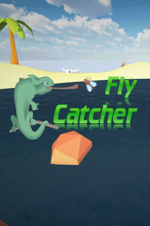 FlyCatcher