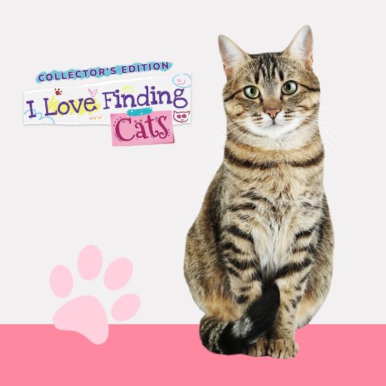 I Love Finding Cats Collector's Edition