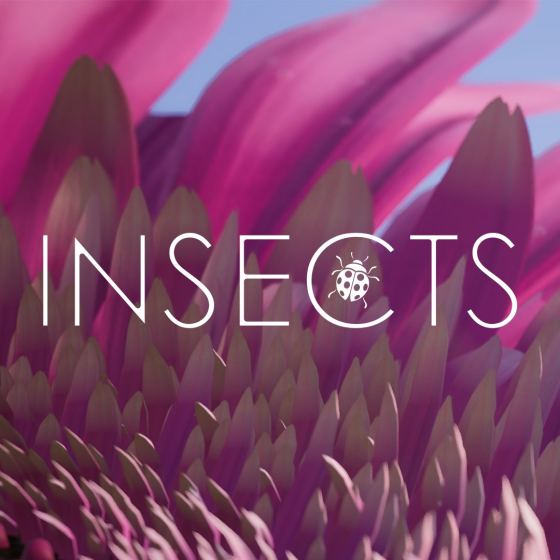 Insects: Una Experiencia de Xbox One X Enhanced