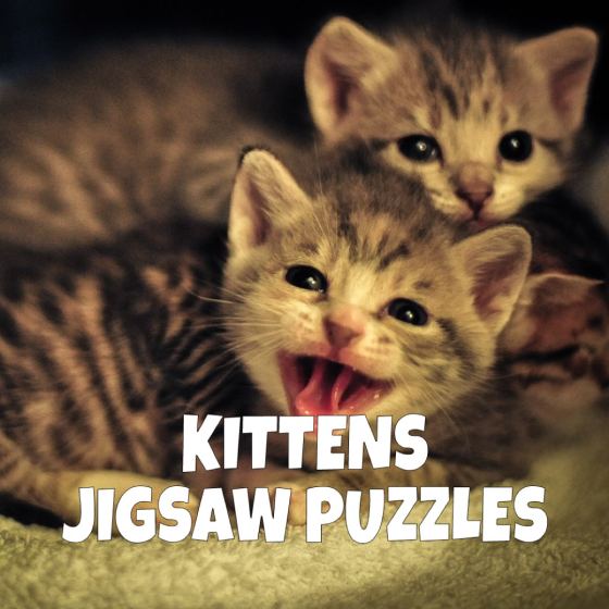 Jigsaw Puzzle Kittens