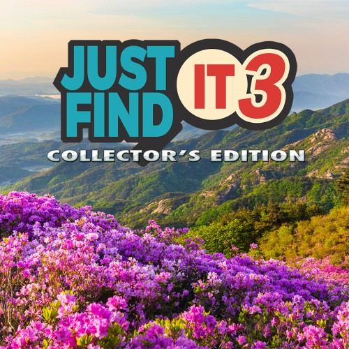 Just Find It 3 Collector's Edition