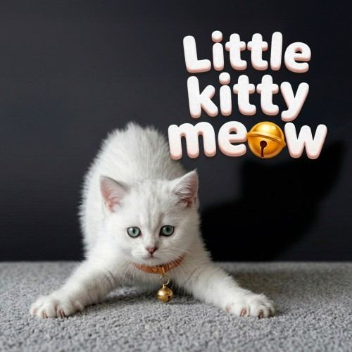 Little Kitty Meow