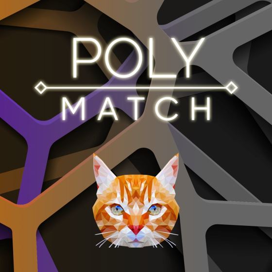 Poly Match