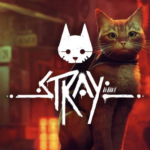 Stray