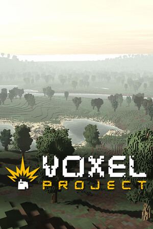 Voxel Project VR