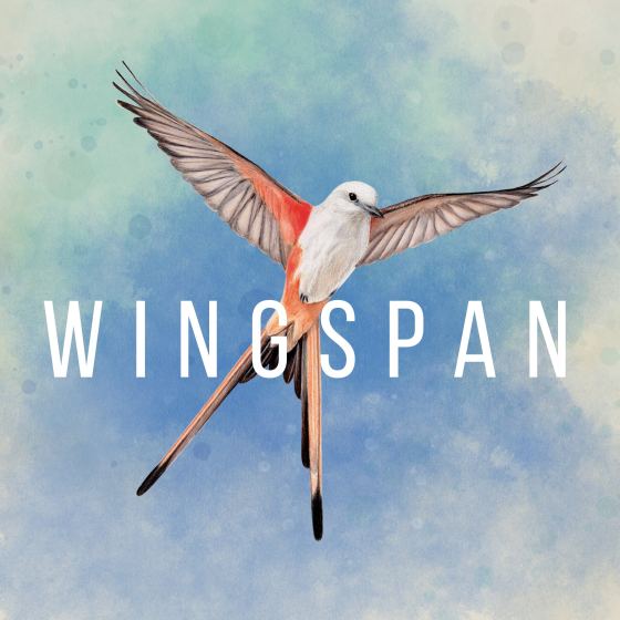 WINGSPAN